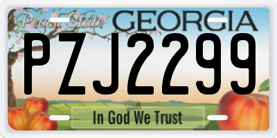 GA license plate PZJ2299