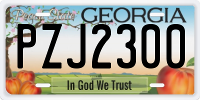 GA license plate PZJ2300