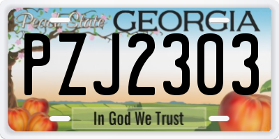 GA license plate PZJ2303