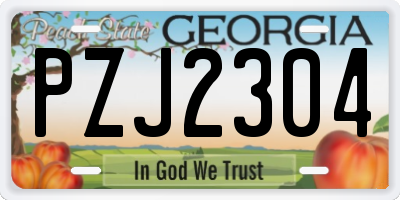 GA license plate PZJ2304
