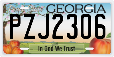 GA license plate PZJ2306