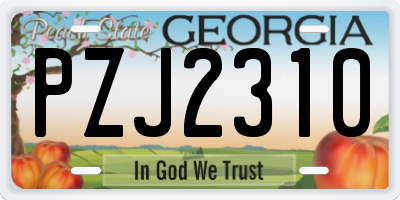 GA license plate PZJ2310