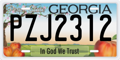 GA license plate PZJ2312