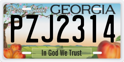 GA license plate PZJ2314
