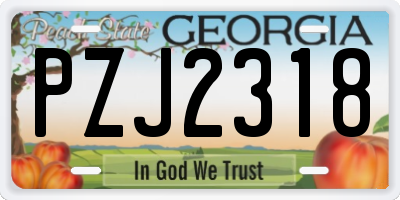 GA license plate PZJ2318