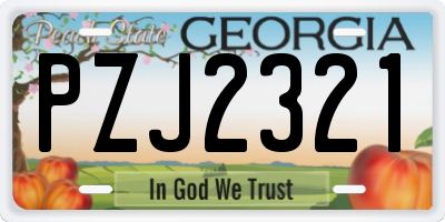 GA license plate PZJ2321