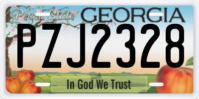 GA license plate PZJ2328