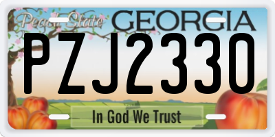 GA license plate PZJ2330