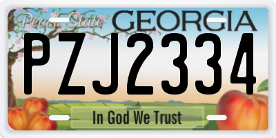 GA license plate PZJ2334