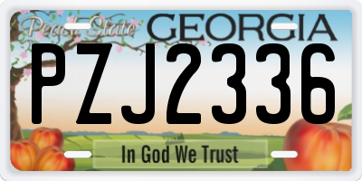 GA license plate PZJ2336
