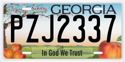 GA license plate PZJ2337
