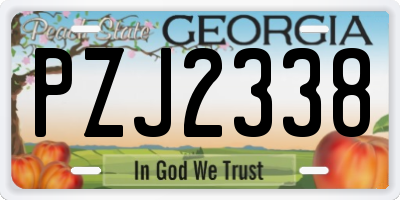 GA license plate PZJ2338