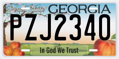 GA license plate PZJ2340