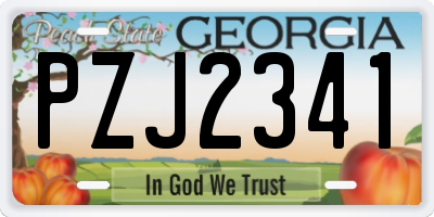 GA license plate PZJ2341