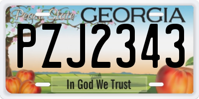 GA license plate PZJ2343