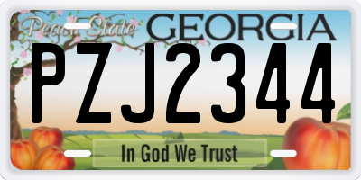 GA license plate PZJ2344