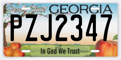 GA license plate PZJ2347