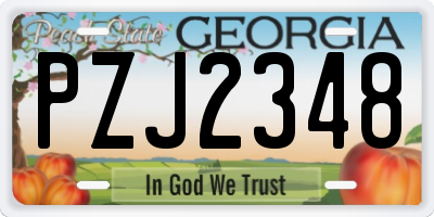 GA license plate PZJ2348