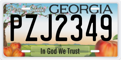 GA license plate PZJ2349