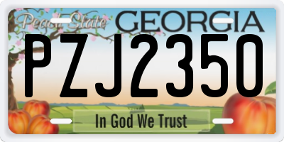 GA license plate PZJ2350