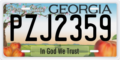 GA license plate PZJ2359