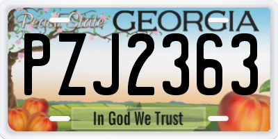 GA license plate PZJ2363