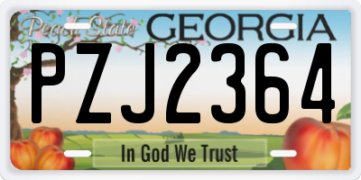 GA license plate PZJ2364