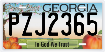 GA license plate PZJ2365