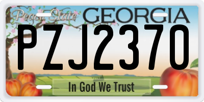 GA license plate PZJ2370