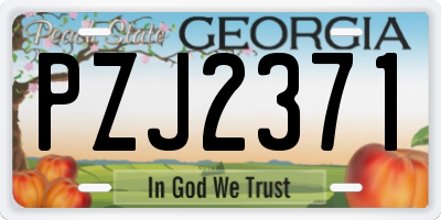 GA license plate PZJ2371