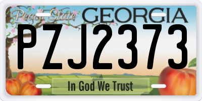GA license plate PZJ2373