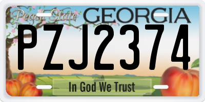 GA license plate PZJ2374