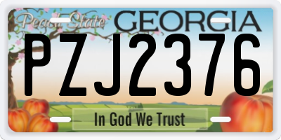 GA license plate PZJ2376