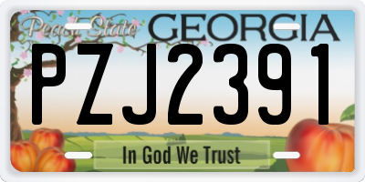 GA license plate PZJ2391