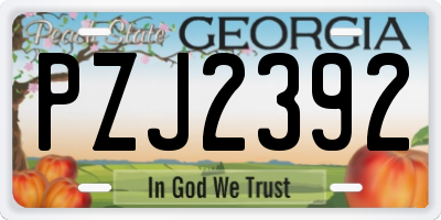 GA license plate PZJ2392