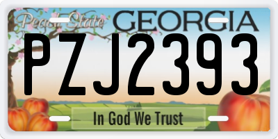 GA license plate PZJ2393