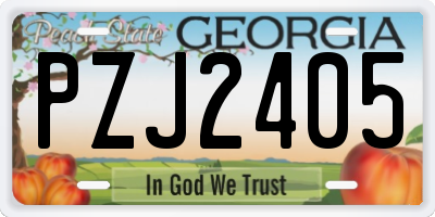 GA license plate PZJ2405