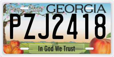 GA license plate PZJ2418