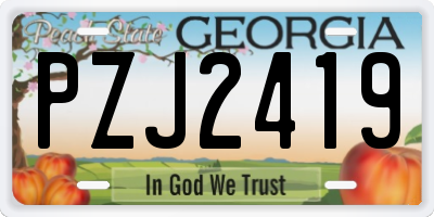 GA license plate PZJ2419