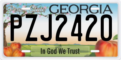 GA license plate PZJ2420