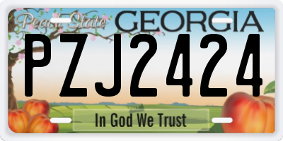 GA license plate PZJ2424