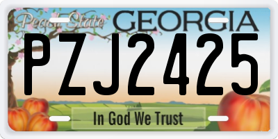 GA license plate PZJ2425