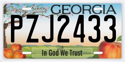 GA license plate PZJ2433