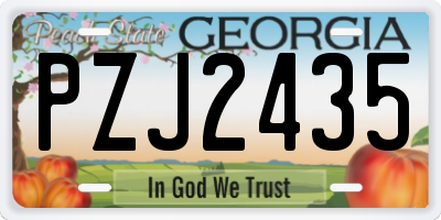 GA license plate PZJ2435