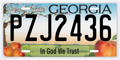 GA license plate PZJ2436