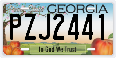 GA license plate PZJ2441