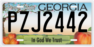 GA license plate PZJ2442