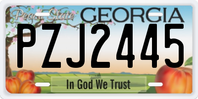 GA license plate PZJ2445