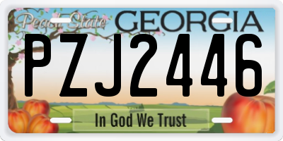 GA license plate PZJ2446