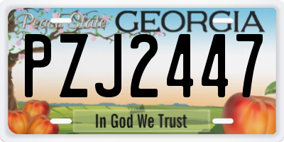 GA license plate PZJ2447